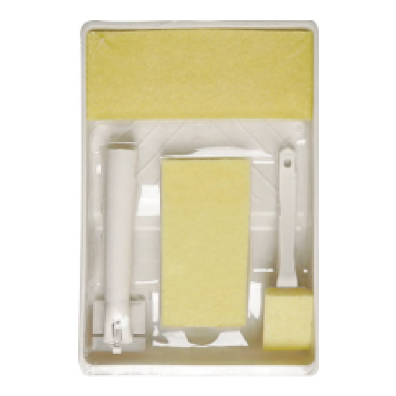 Gregis Pad Painter Kit